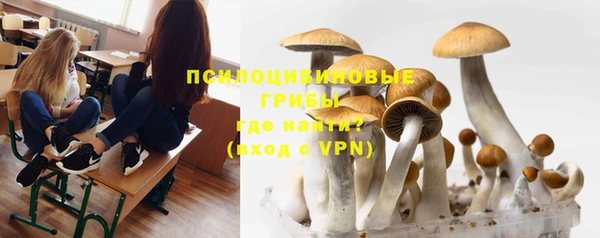 амф Горнозаводск