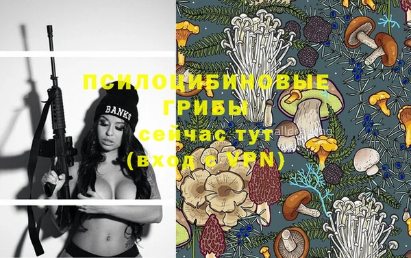 соль курить ск Горняк