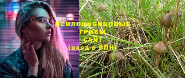трава Каменногорск
