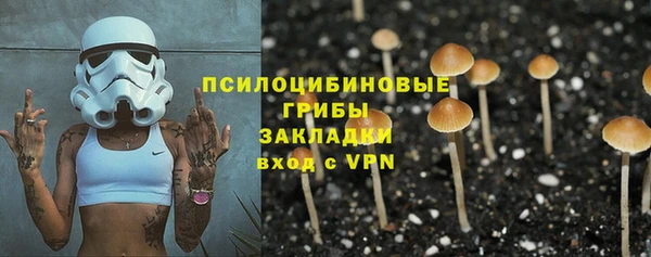 соль курить ск Горняк